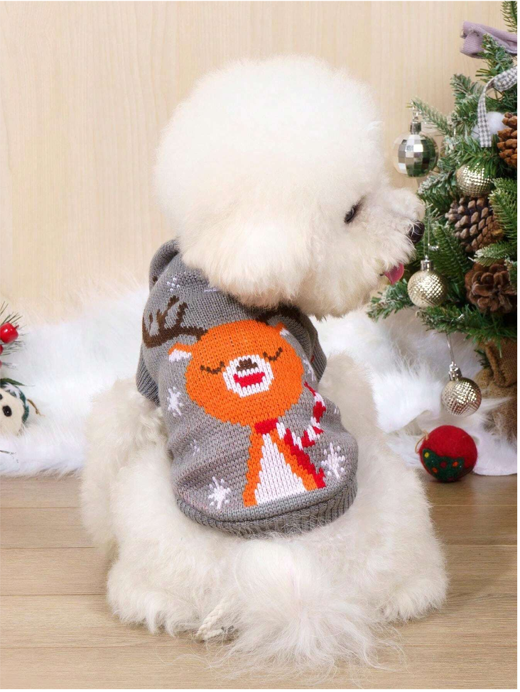 ძაღლის/კატის როლინგი