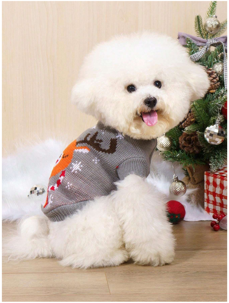 ძაღლის/კატის როლინგი