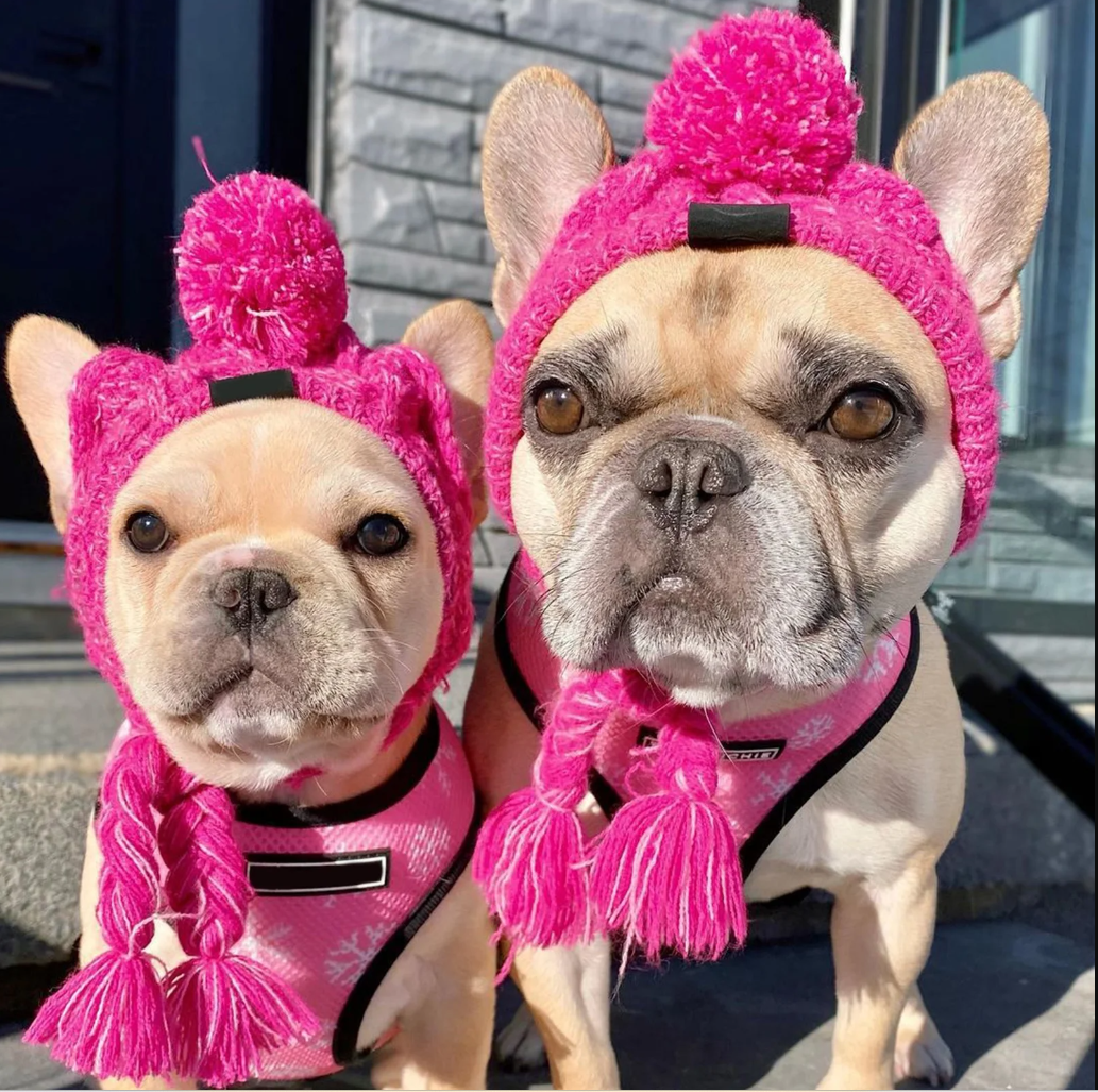 ძაღლის ქუდი ნაქსოვი