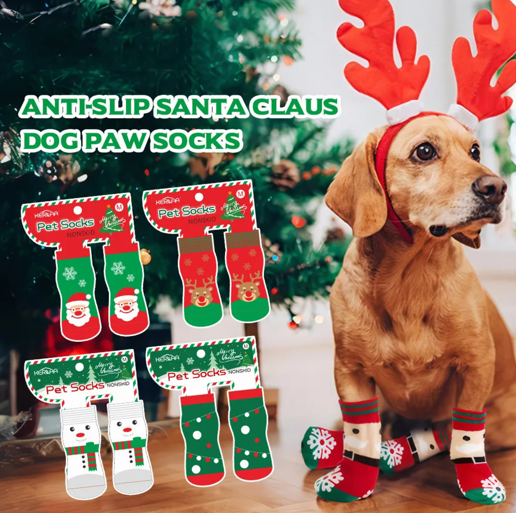 ძაღლის საახალწლო წინდა