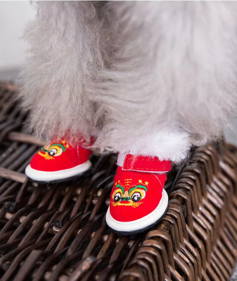 ძაღლის წითელი ფეხსაცმელი