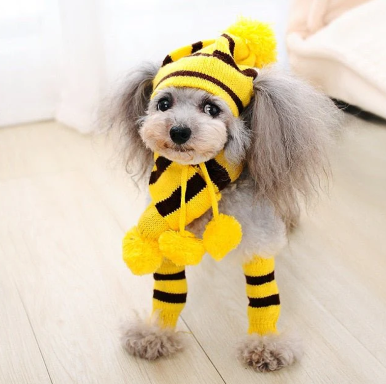 სამეული ქუდი-კაშნე-წინდა