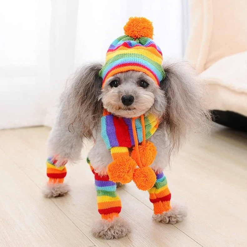 სამეული ქუდი-კაშნე-წინდა