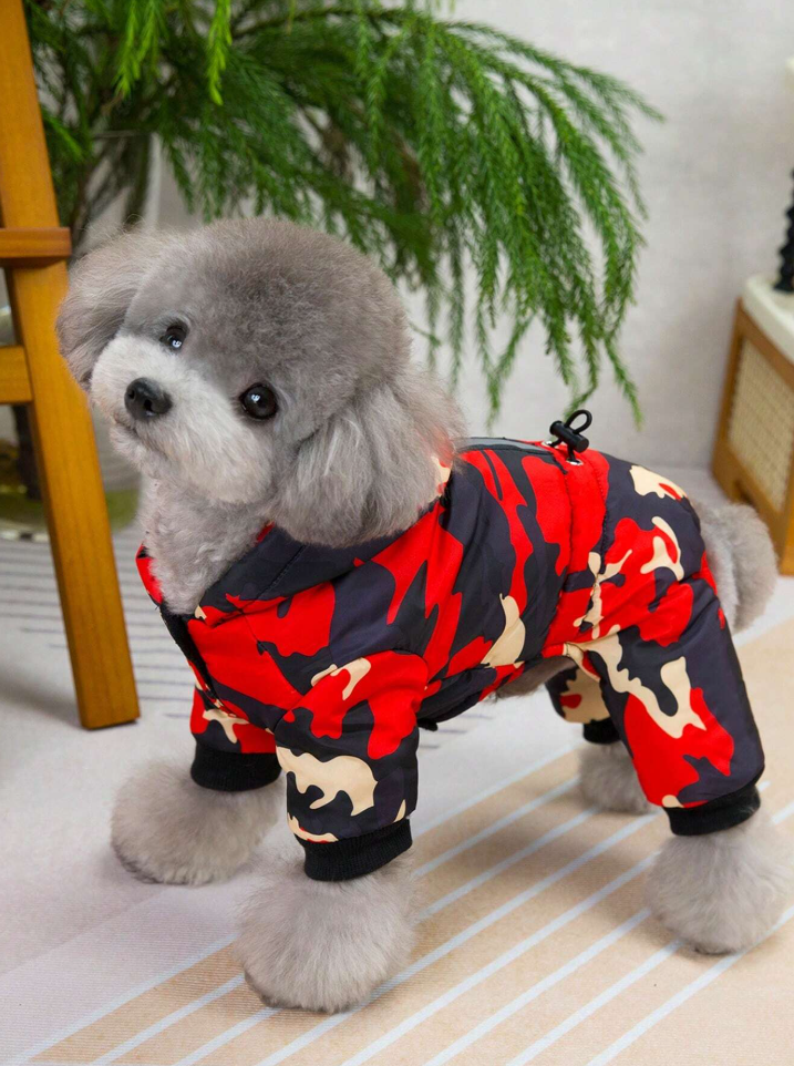 დუტის ქურთუკი ფერადი