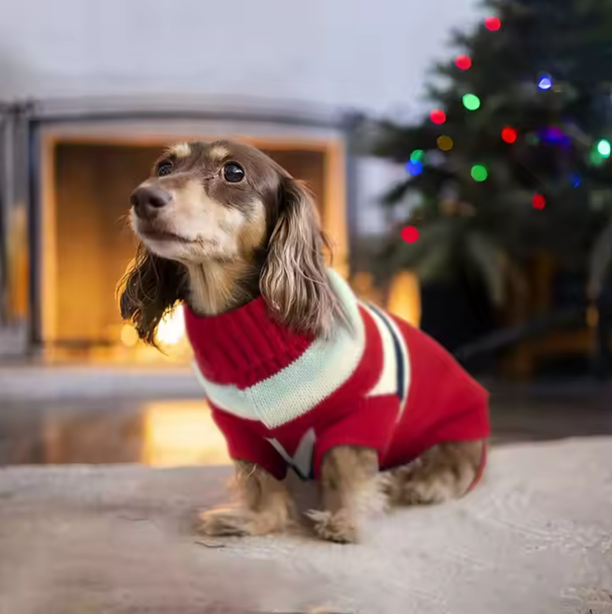 როლინგი ზოლებით