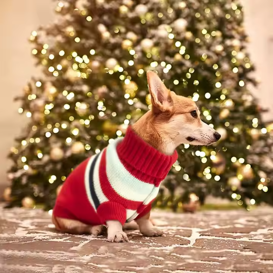 როლინგი ზოლებით