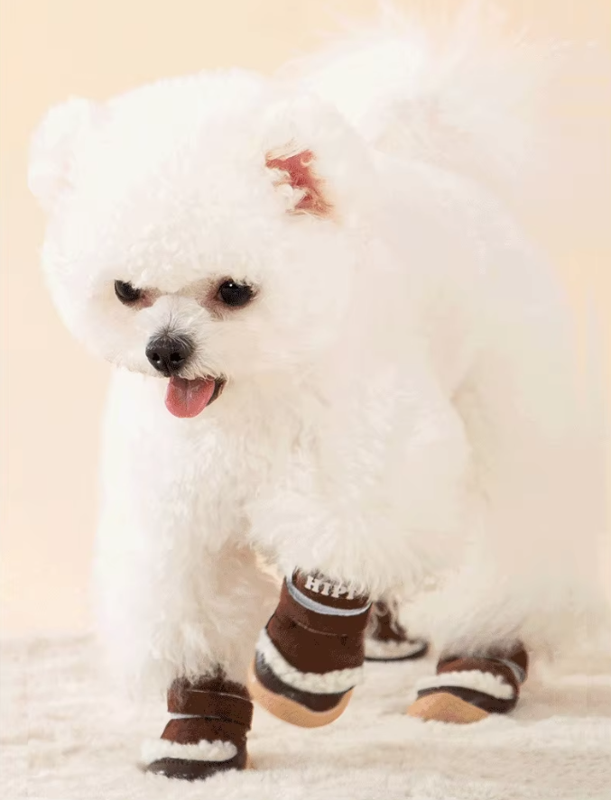 ფეხსაცმელი Hipi