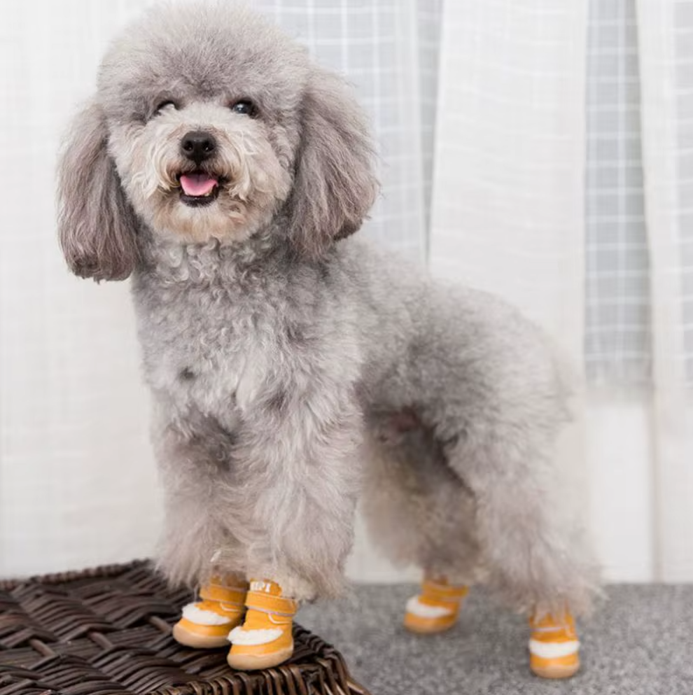 ფეხსაცმელი Hipi