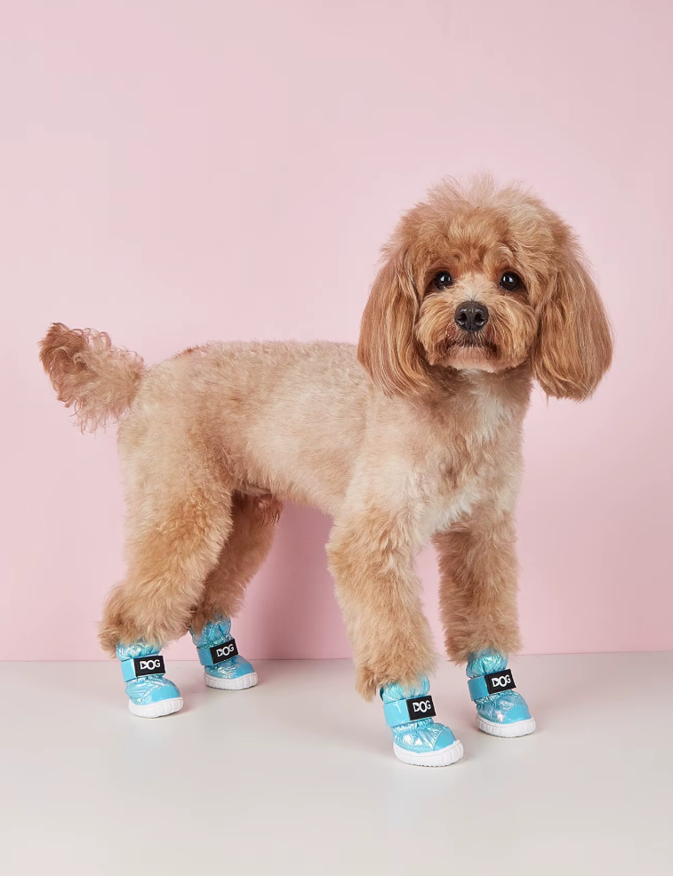 ფეხსაცმელი Dog