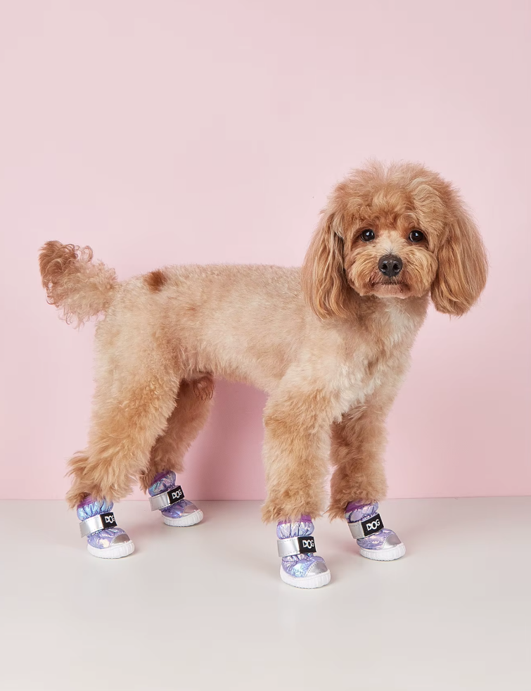 ფეხსაცმელი Dog