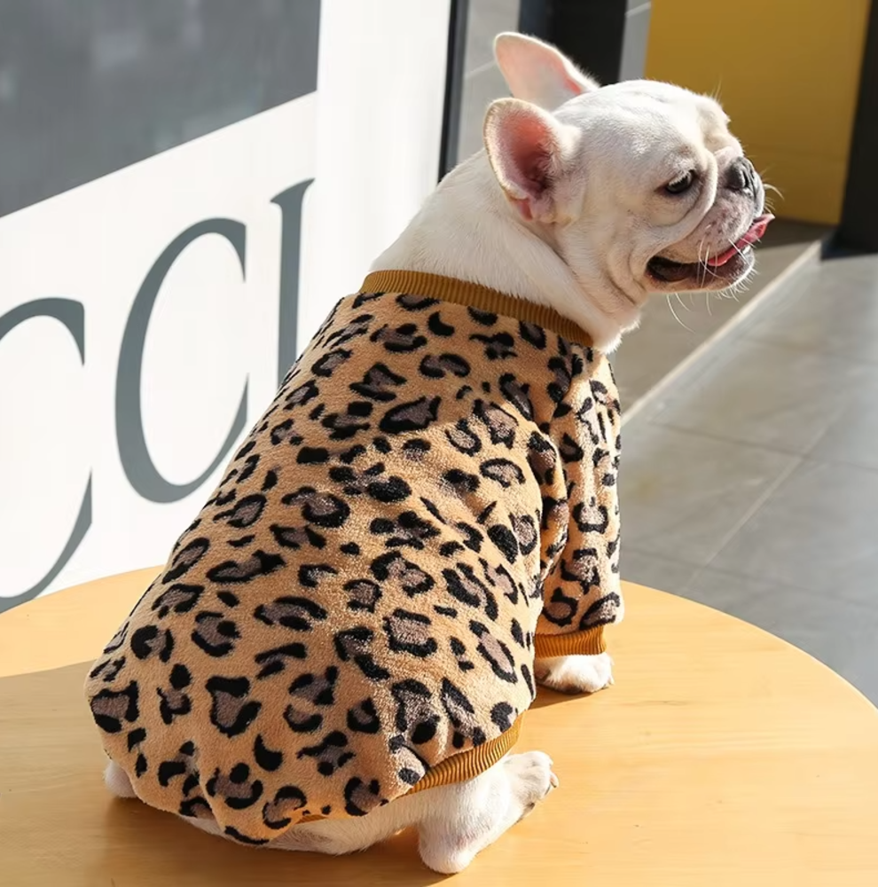 თბილი მაისური