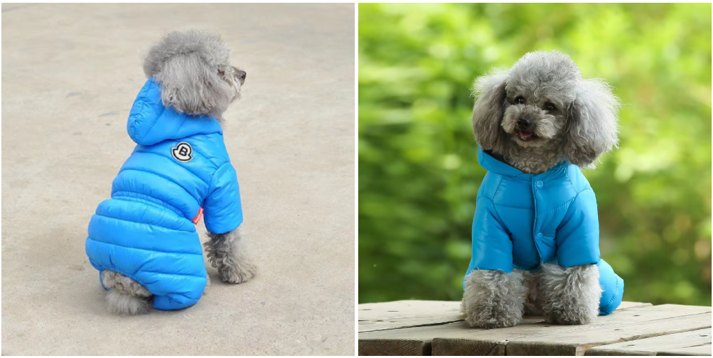 ქურთუკი Moncler