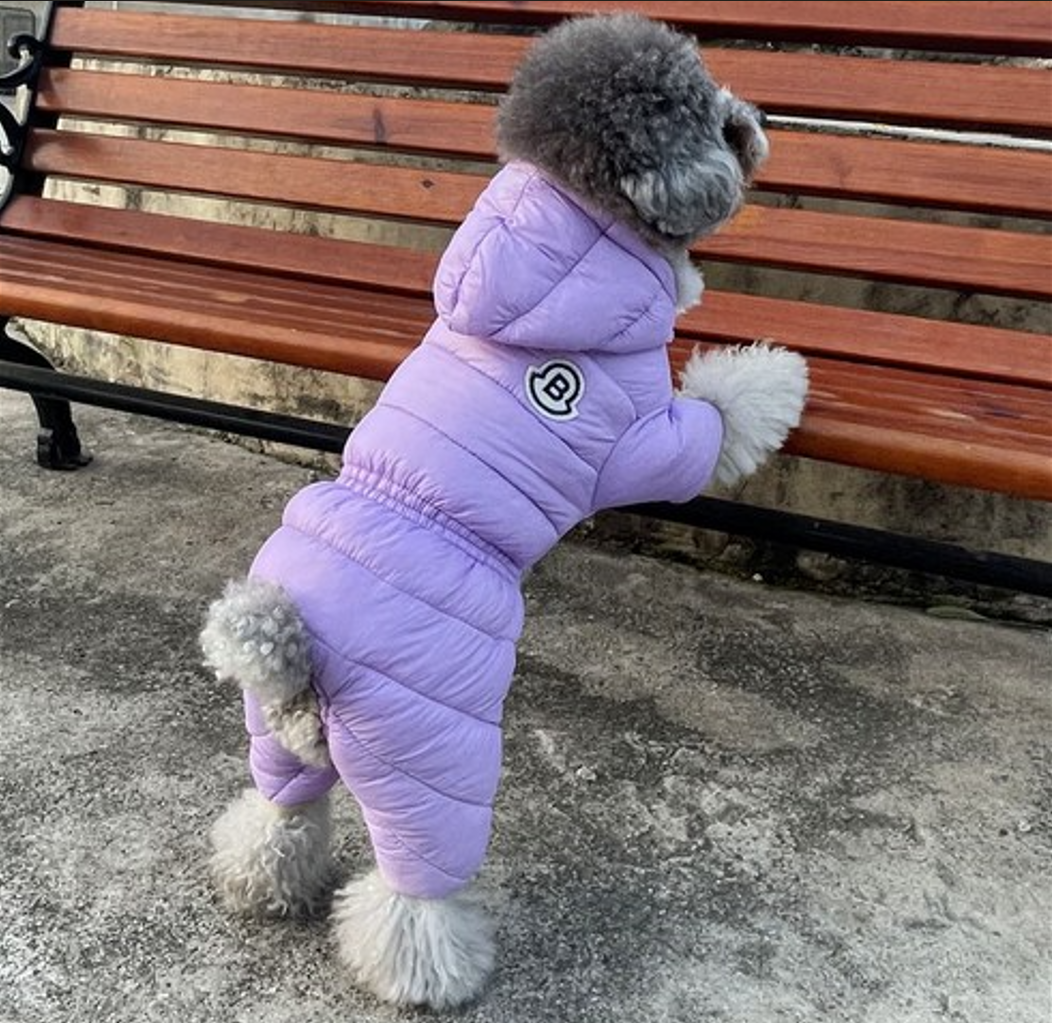 ქურთუკი Moncler