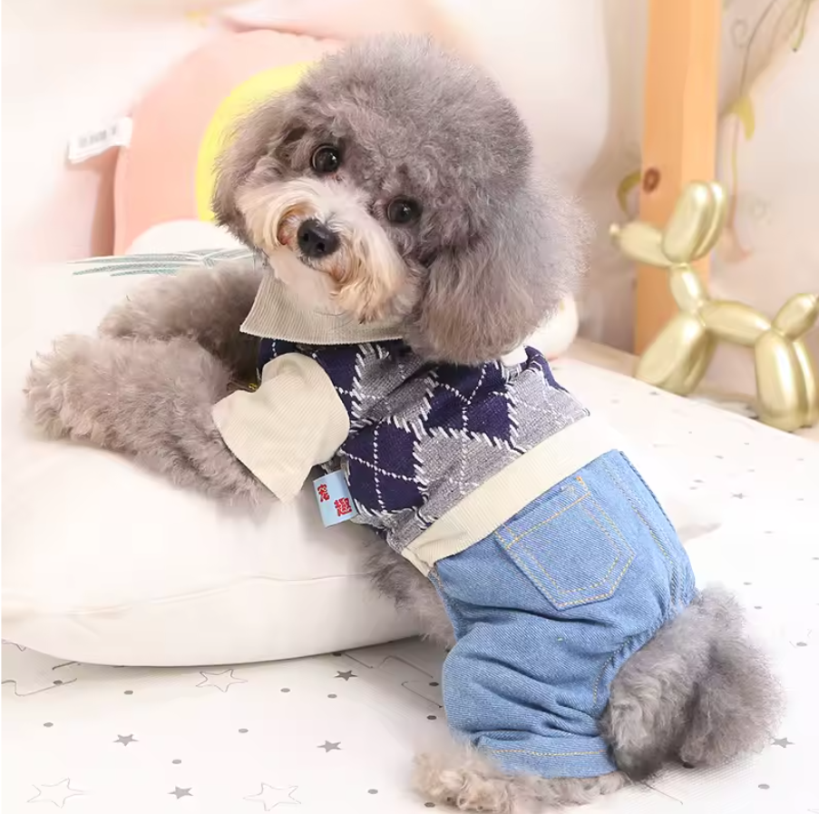 ჯინსის კომბინიზონი პერანგით