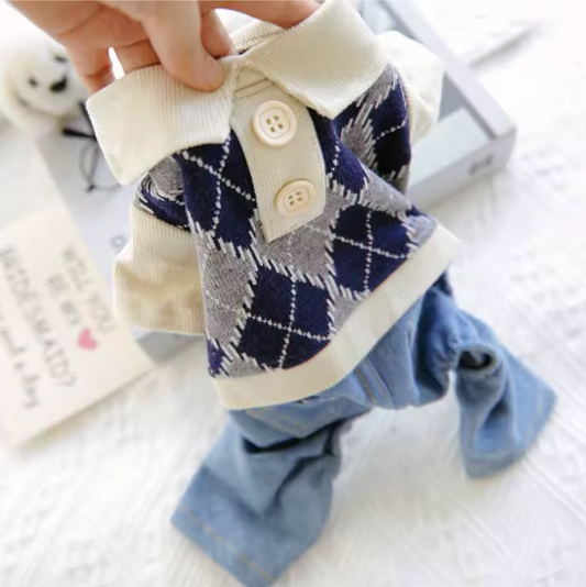 ჯინსის კომბინიზონი პერანგით