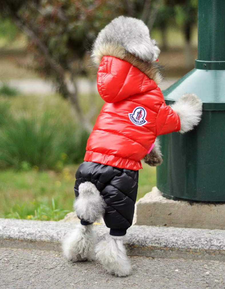 დუტის ქურთუკი კომბინიზონი Moncler