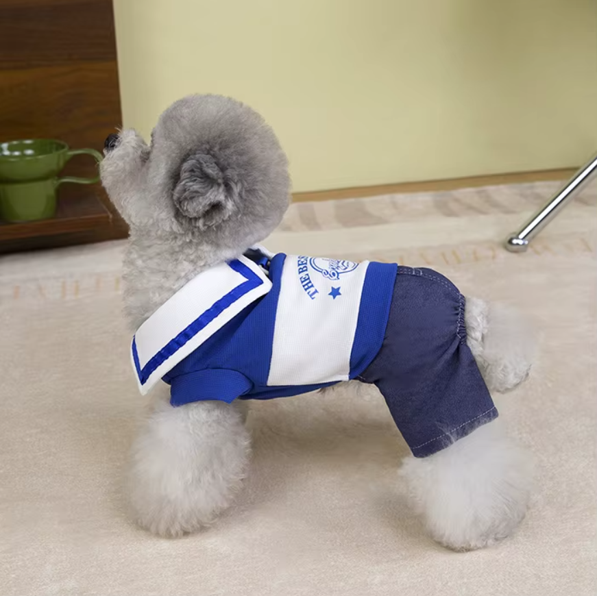 ჯინსის კომბინიზონი THE BEST ONE