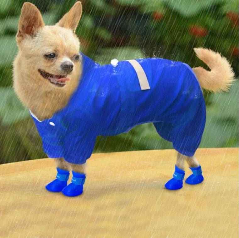 სილიკონის ფეხსაცმელი