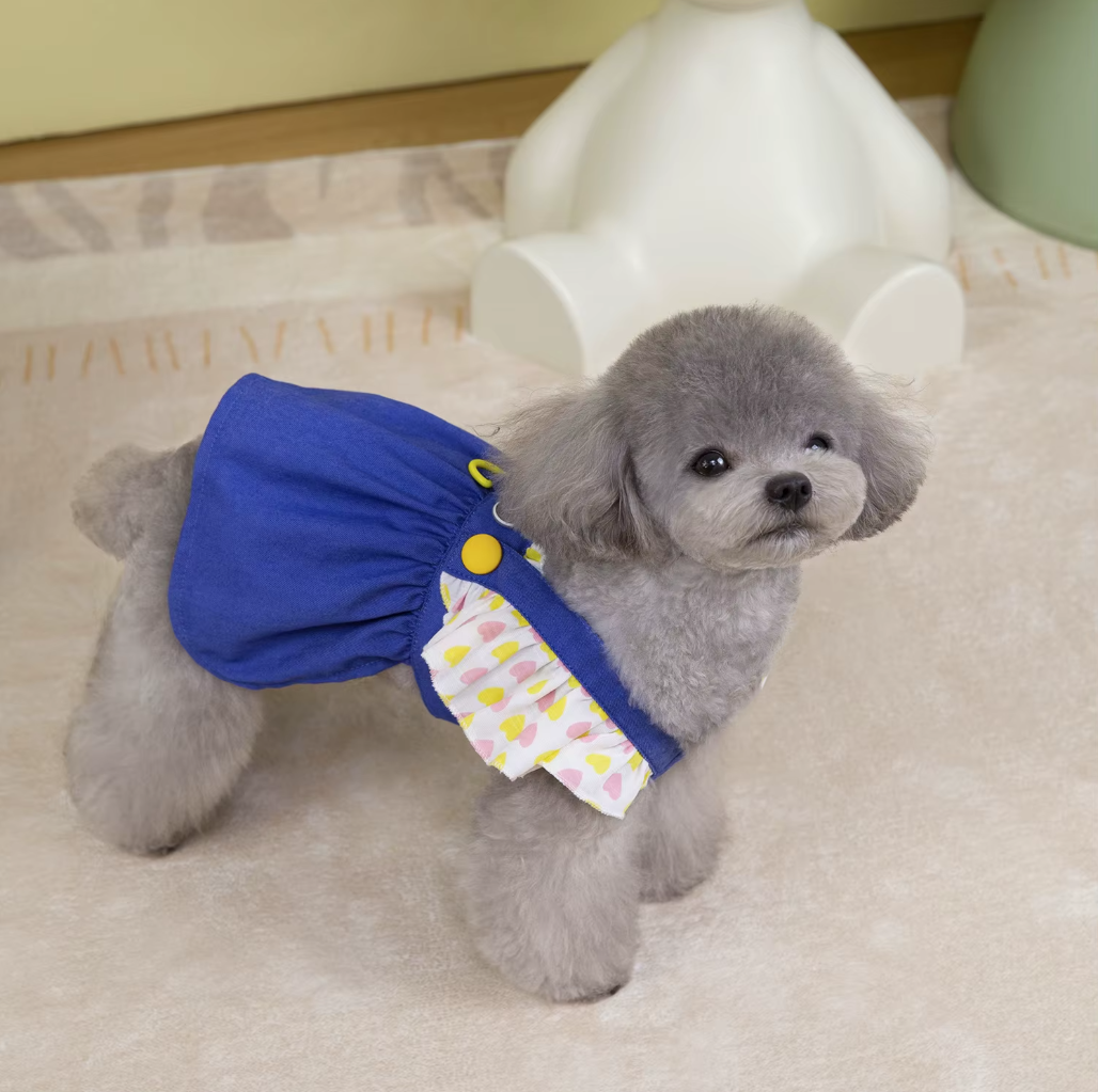 ჯინსის კაბა