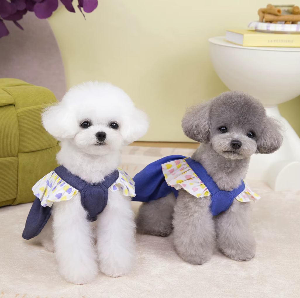 ჯინსის კაბა