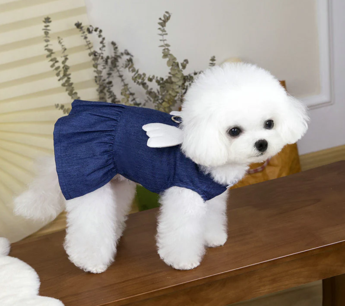 ჯინსის კაბა ფრთებით