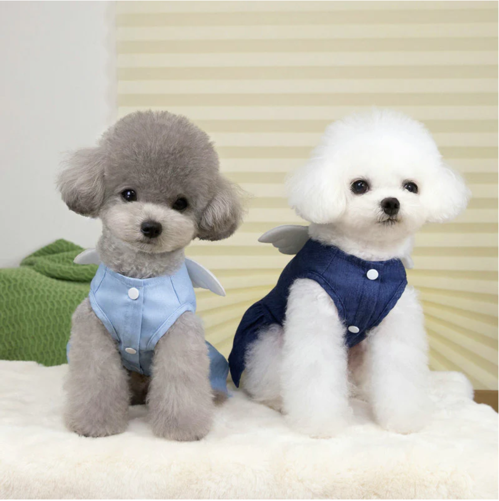 ჯინსის კაბა ფრთებით