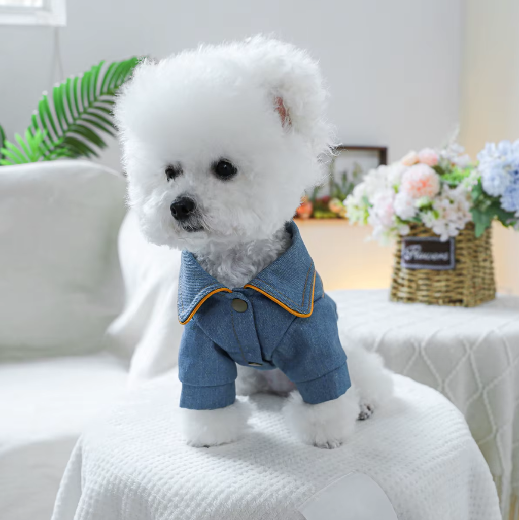 ჯინსის ჟილეტი  Rock Star