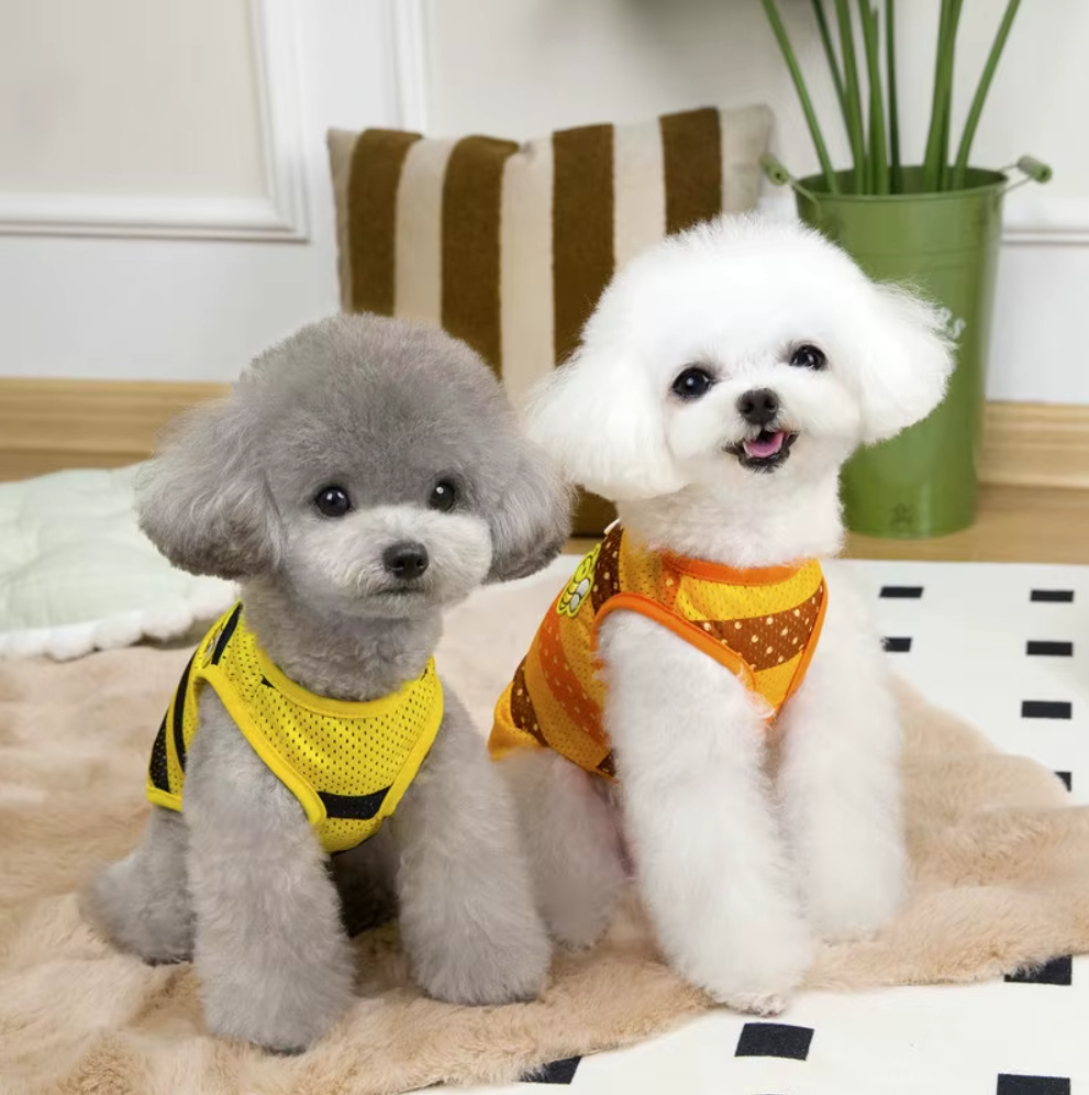 მაისური Bee