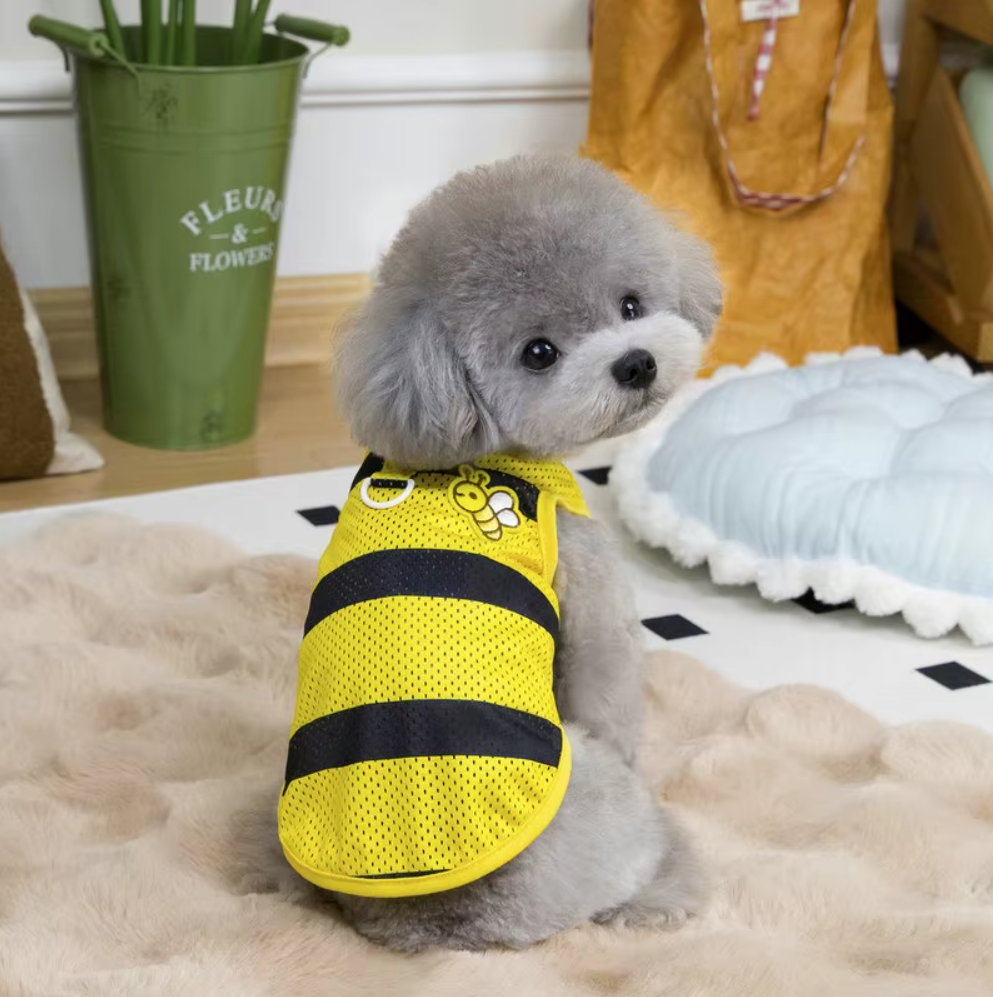 მაისური Bee