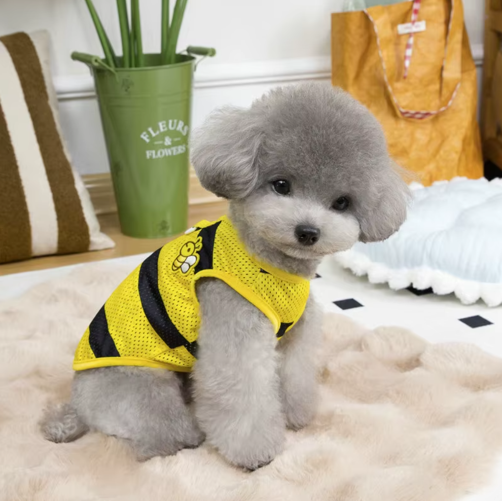 მაისური Bee