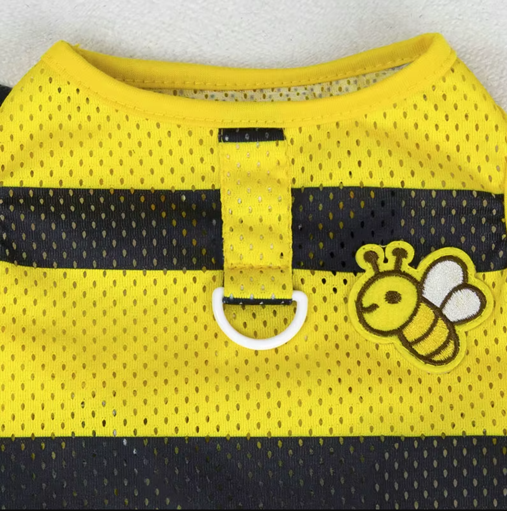 მაისური Bee