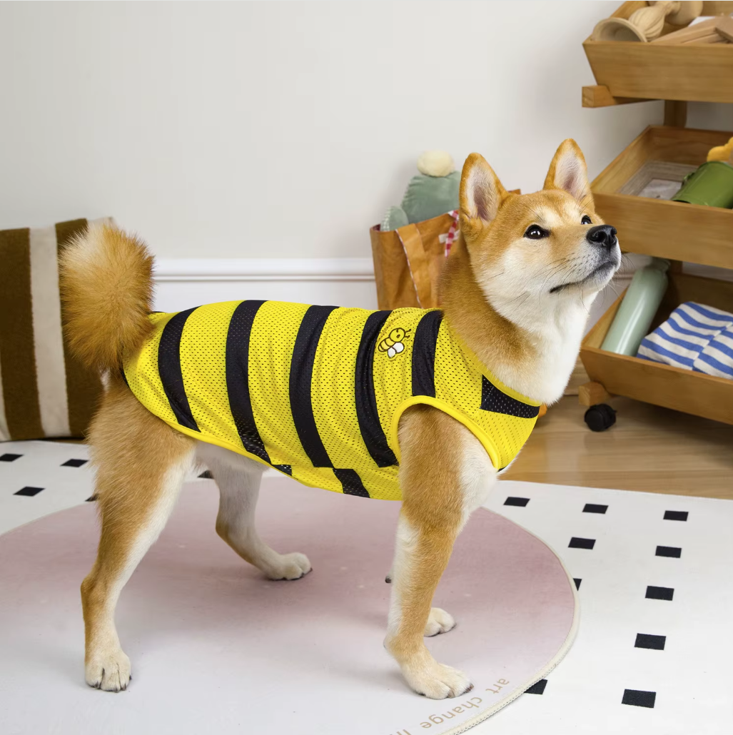 მაისური Bee