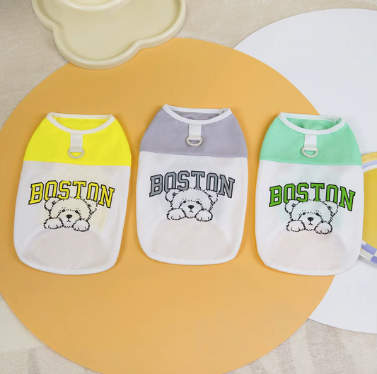 მაისური Boston