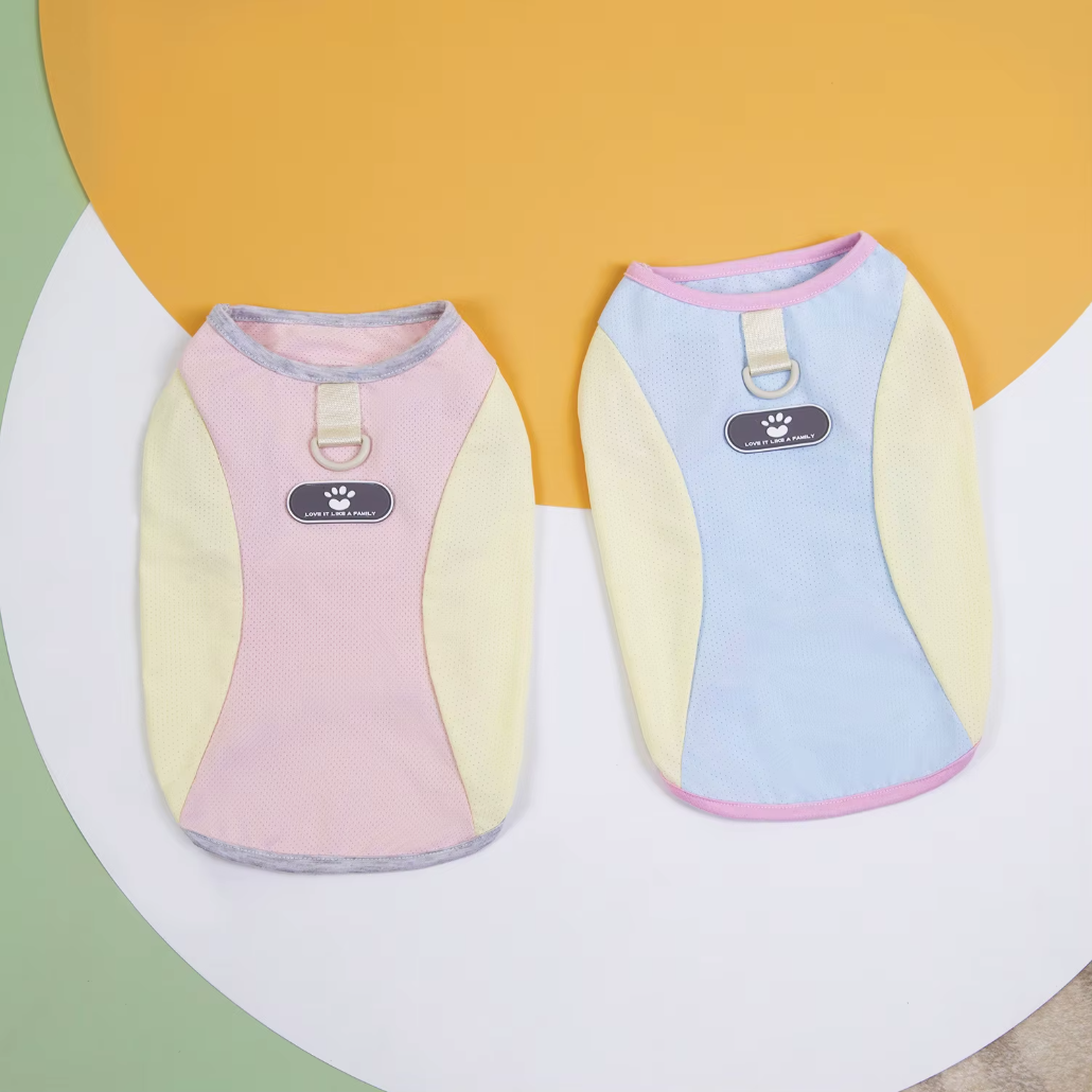 მაისური PAW