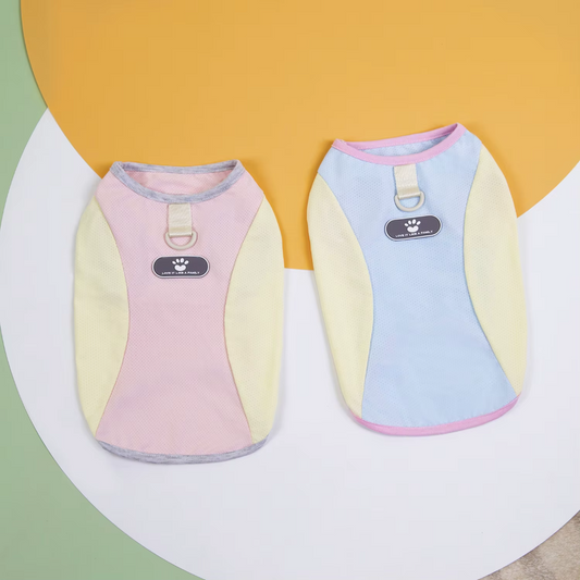 მაისური PAW