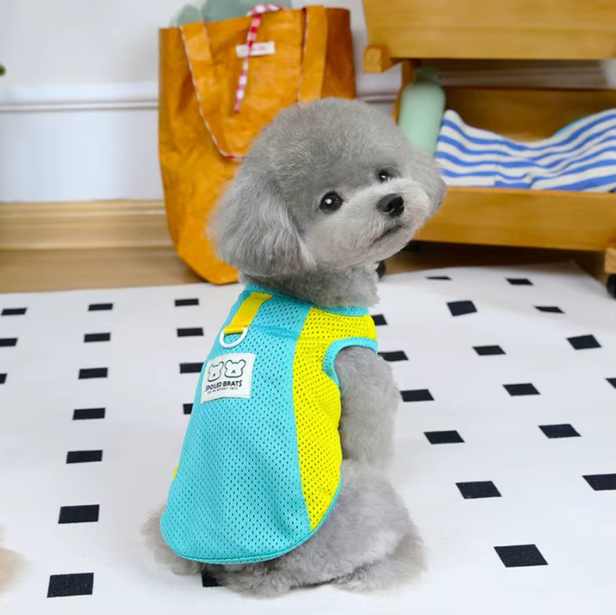 საზაფხულო მაისური (ბადე)