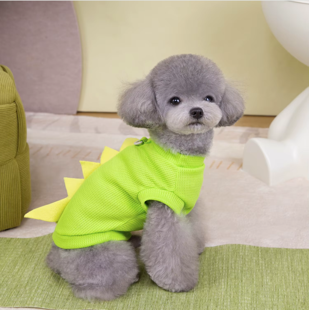 მაისური Dino