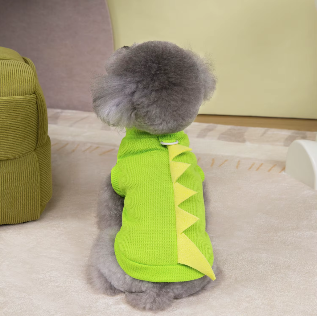 მაისური Dino