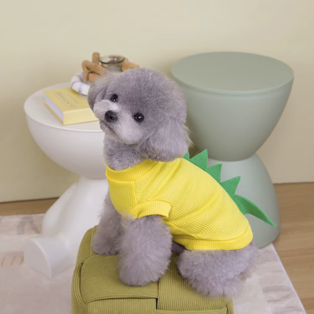 მაისური Dino