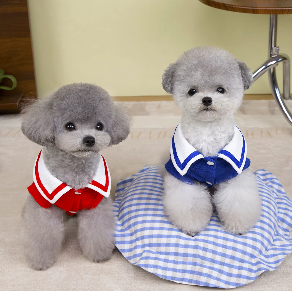 ჯინსის კომბინიზონი THE BEST ONE