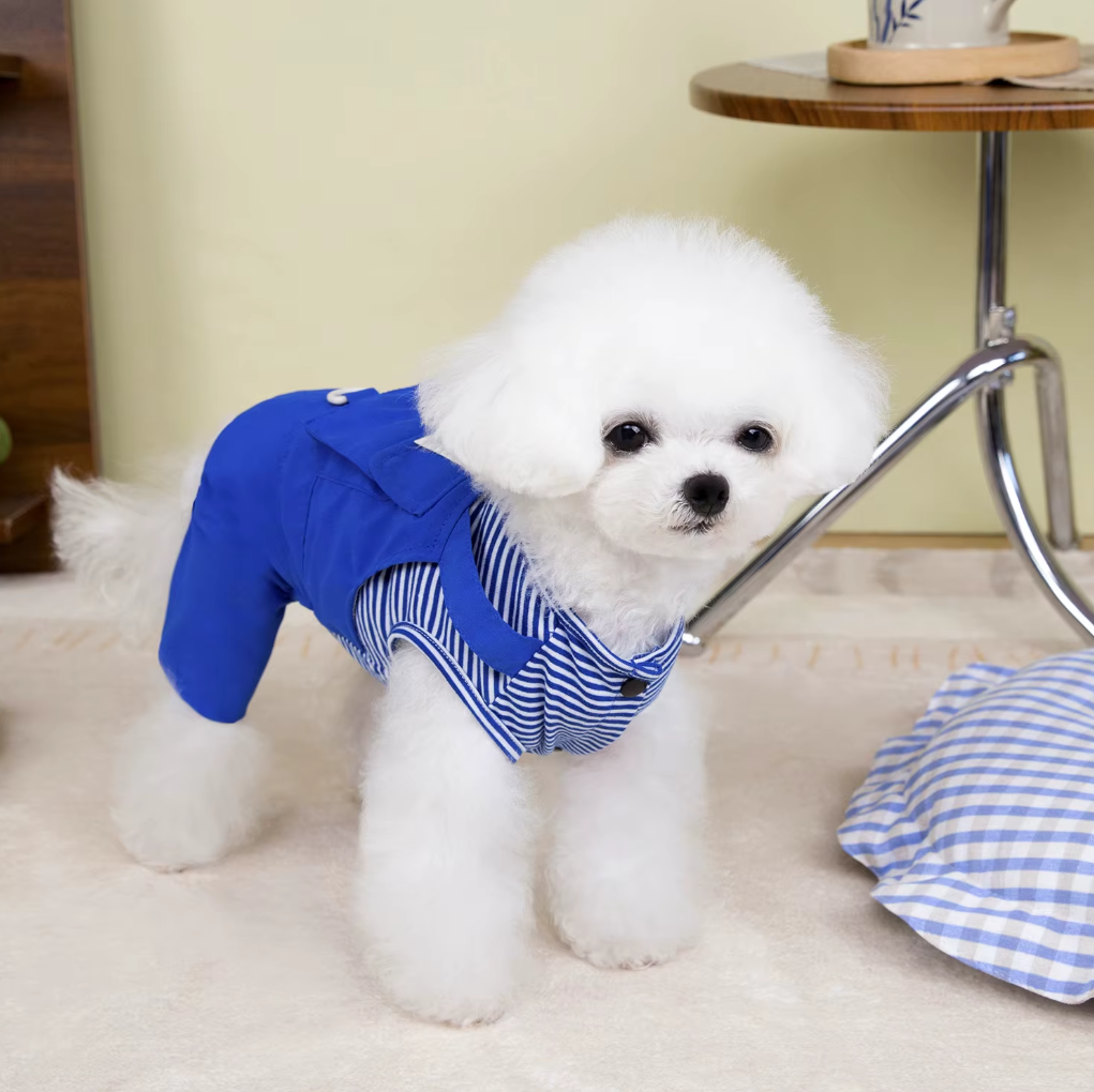 კომბინიზონი ნაჭრის