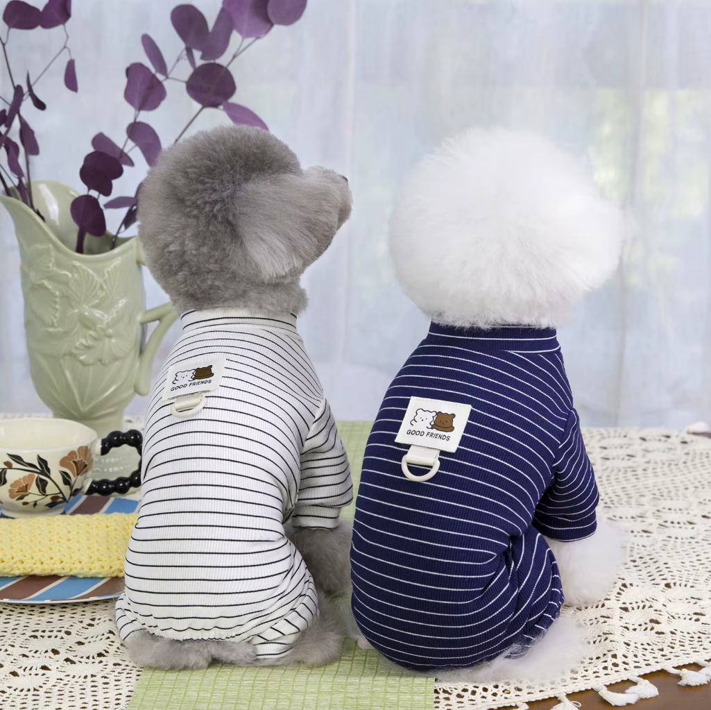 ბოდე კომბინიზონი