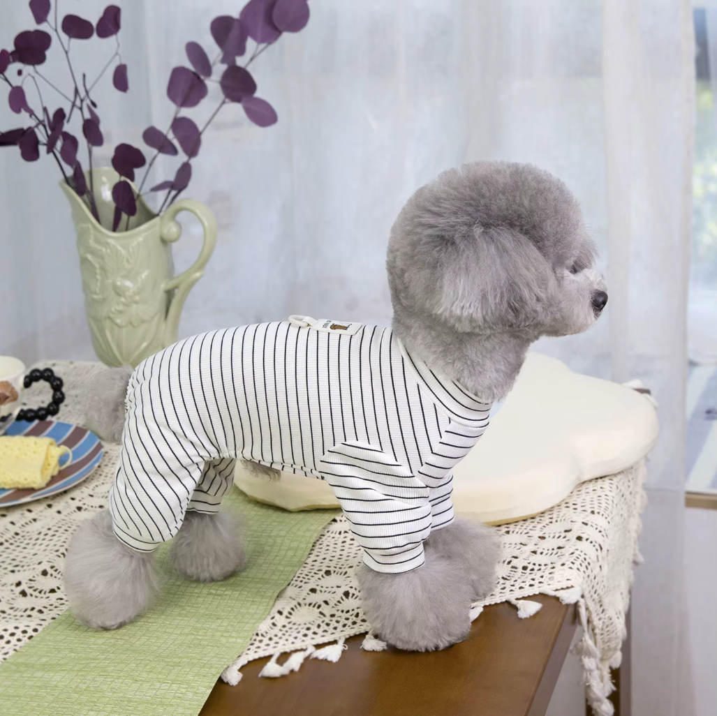 ბოდე კომბინიზონი