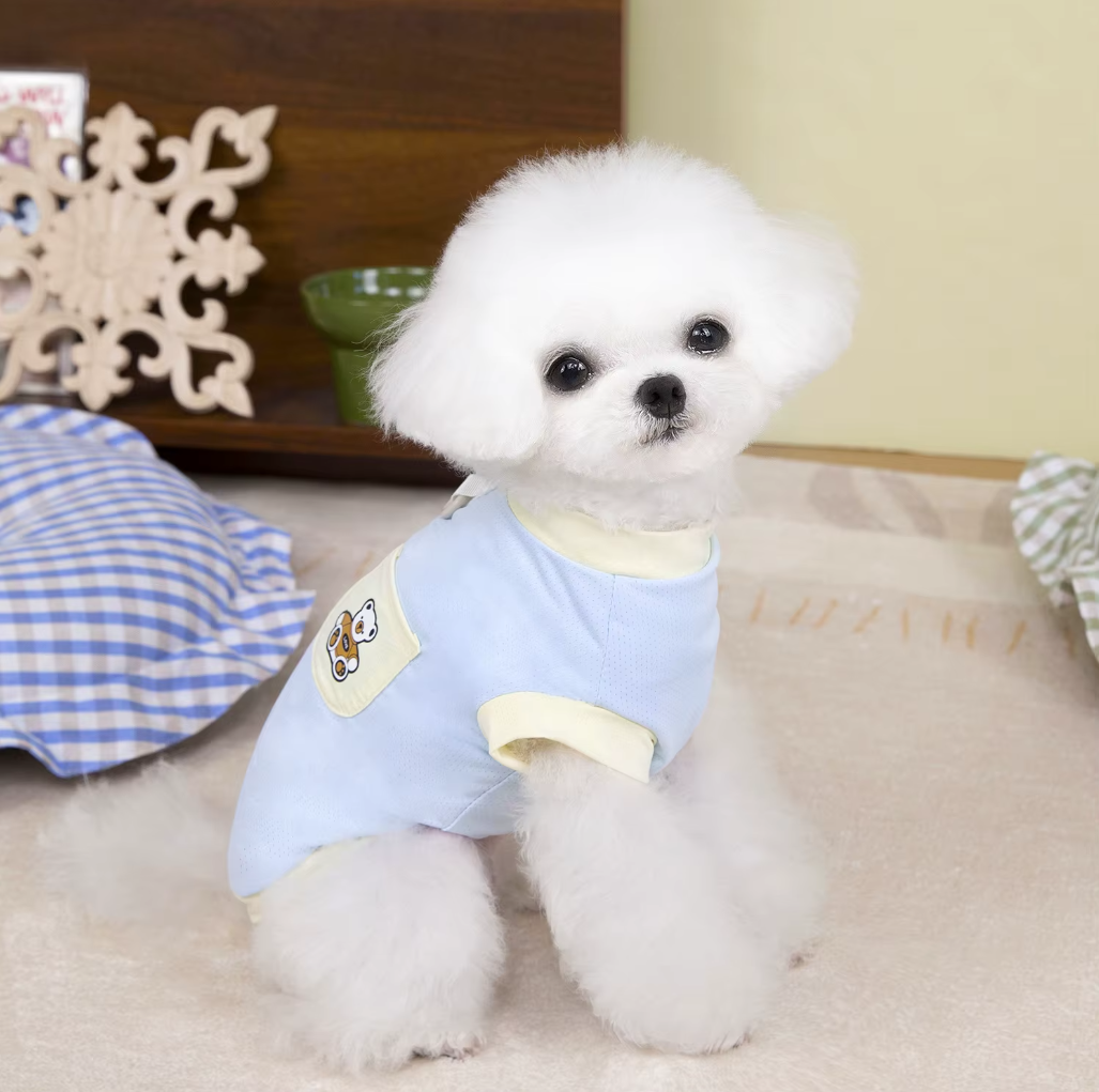 მაისური Bear