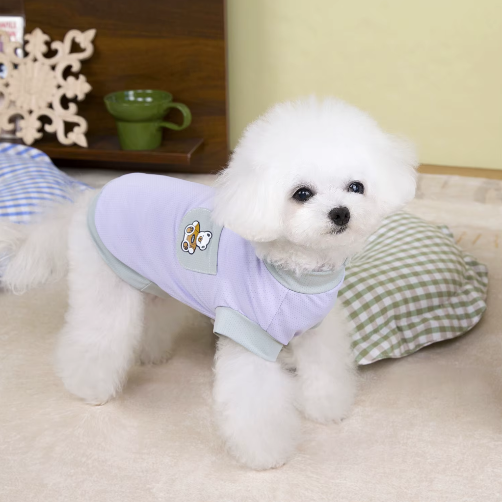 მაისური Bear