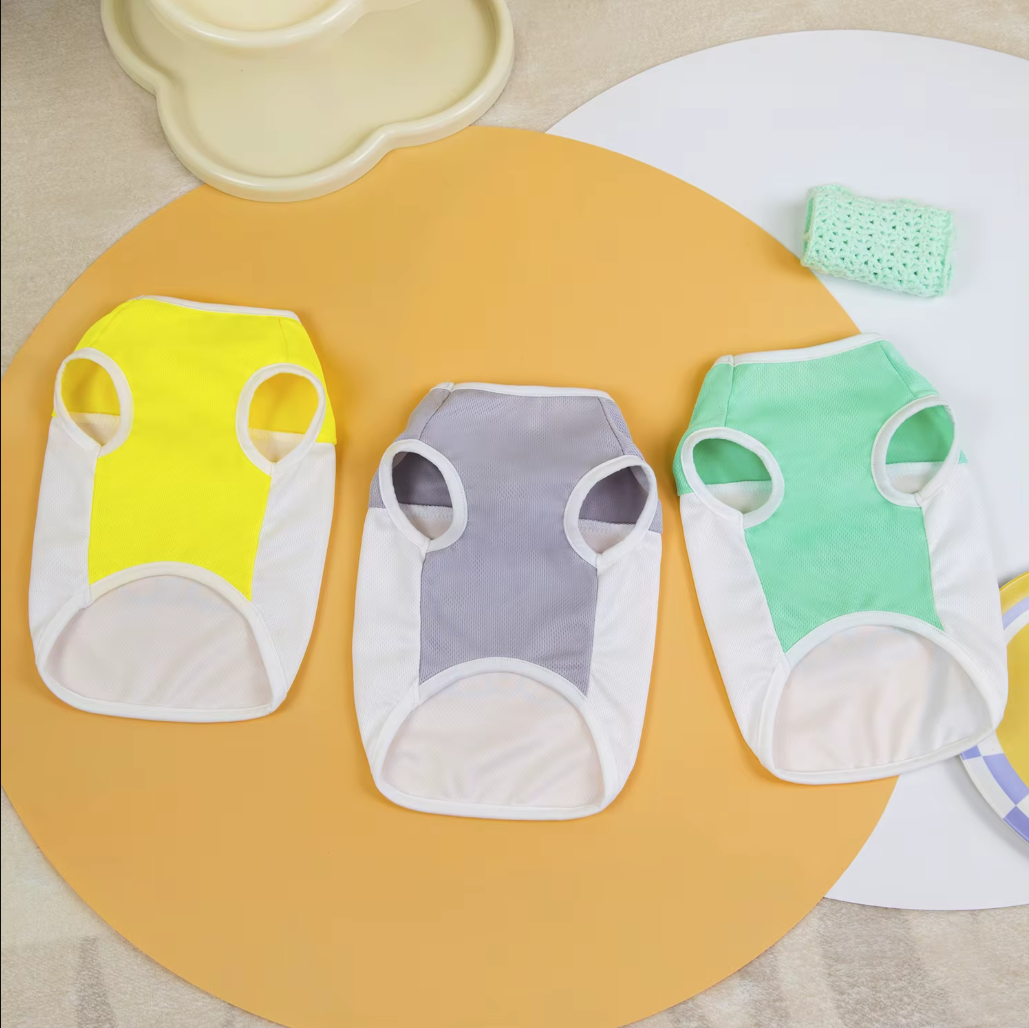 მაისური Boston