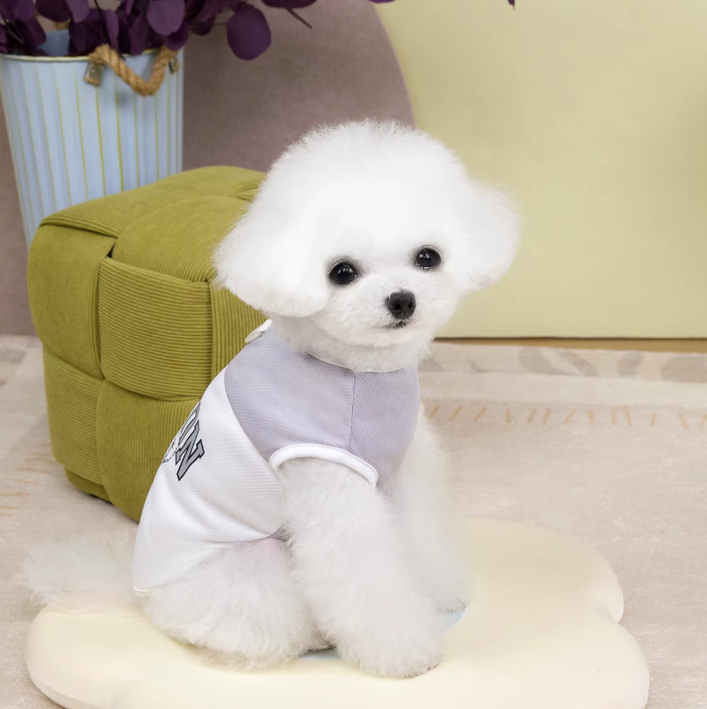 მაისური Boston