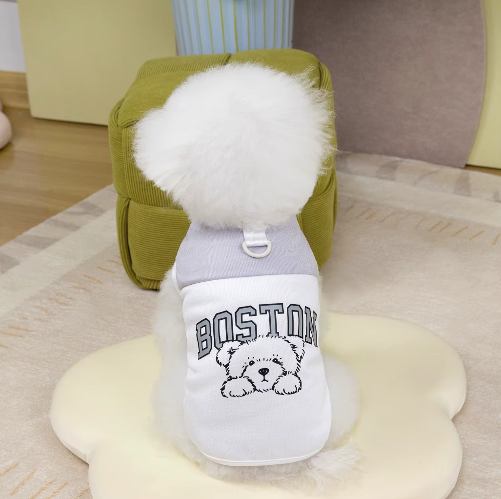 მაისური Boston