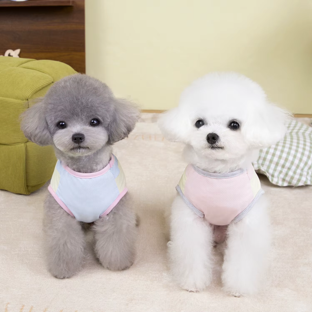 მაისური PAW