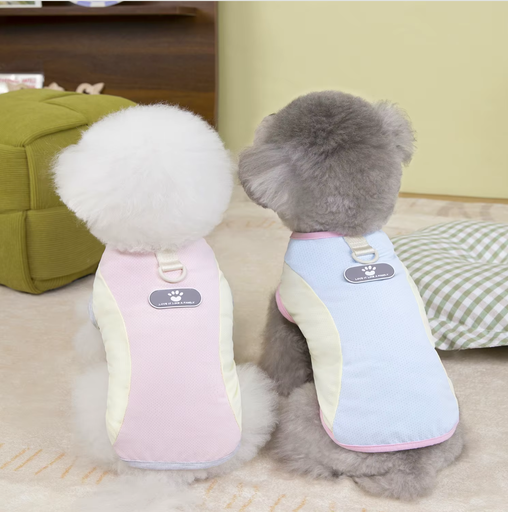 მაისური PAW